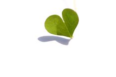 (e417)Green Heart(e417)