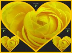 (e418)Yellow Heart(e418)